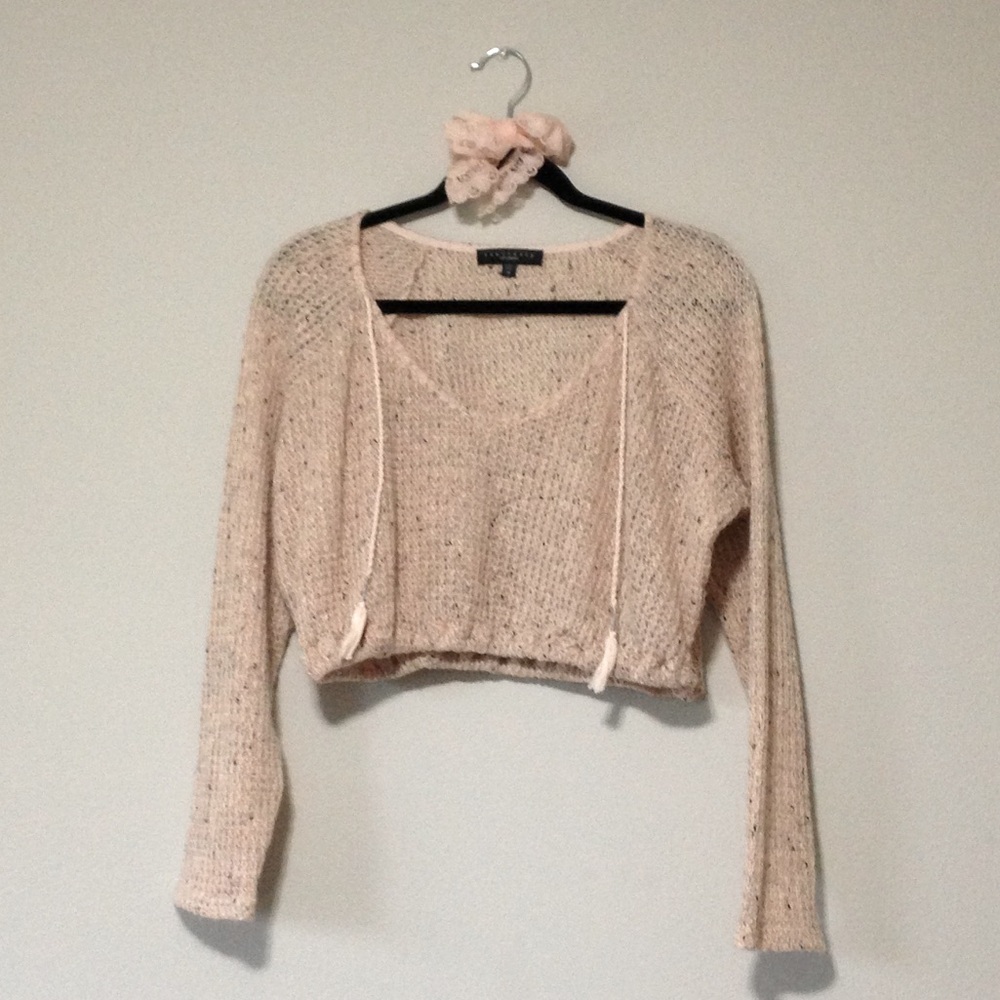 Sanctuary Clothing Pale Pink and Speckled Sheer Knit Cropped Tassel Sweater